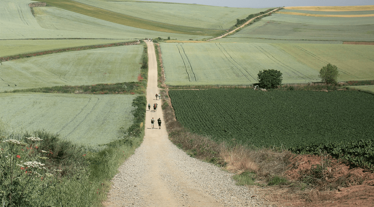 People walking on a path in the countryside