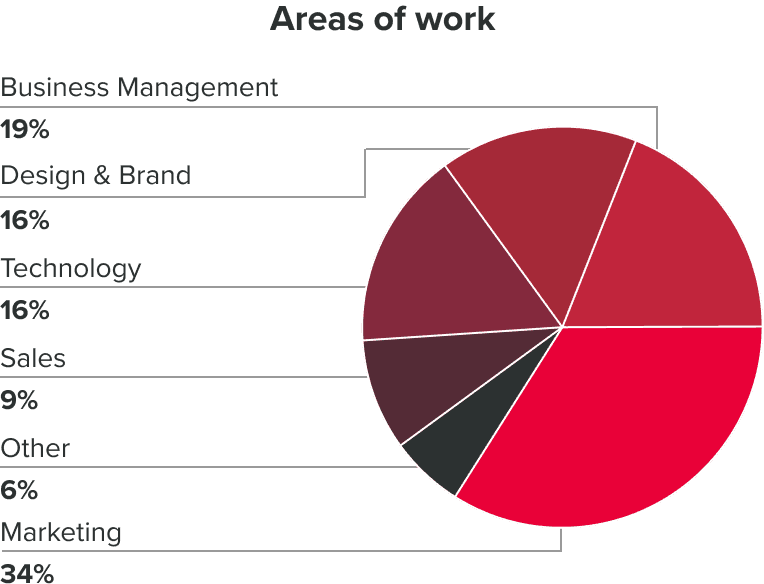 An illustrative pie chart illustrating the distribution of areas of work within the demographic. Business managment 19%, design and brand 16%, technology 16%, sales 9%, marketing 34%, and other 6%