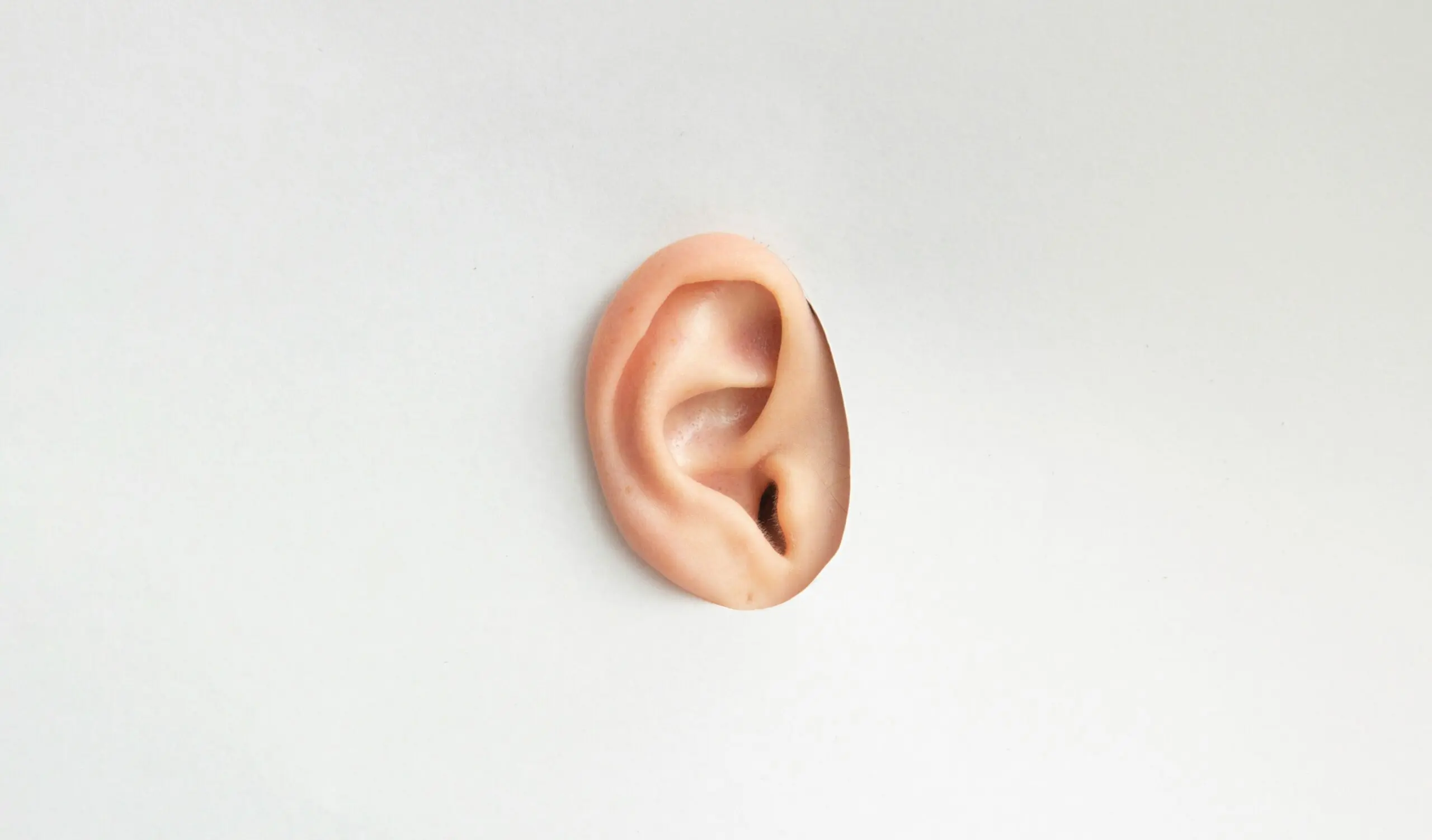 An ear