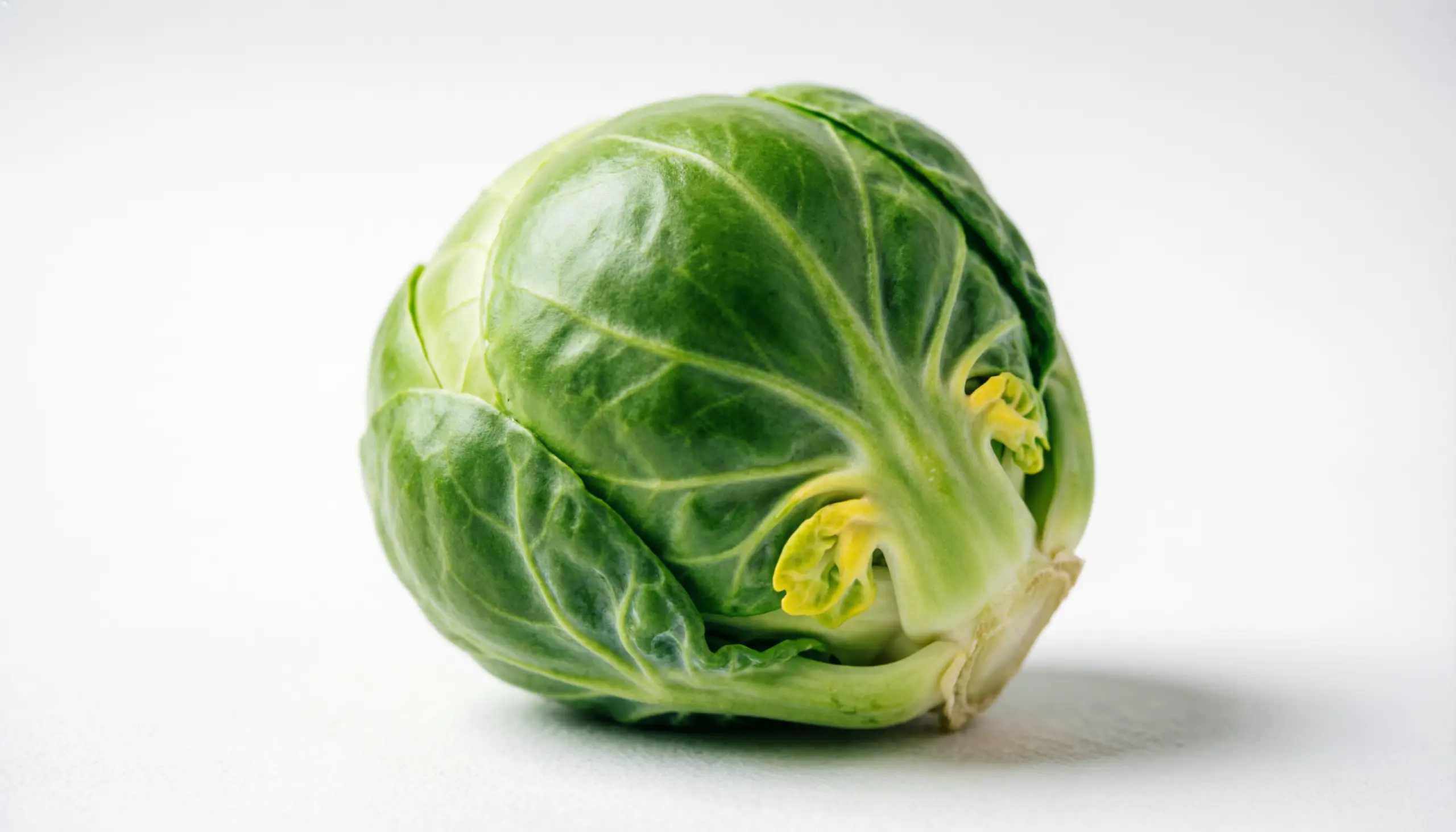 A Brussels sprout